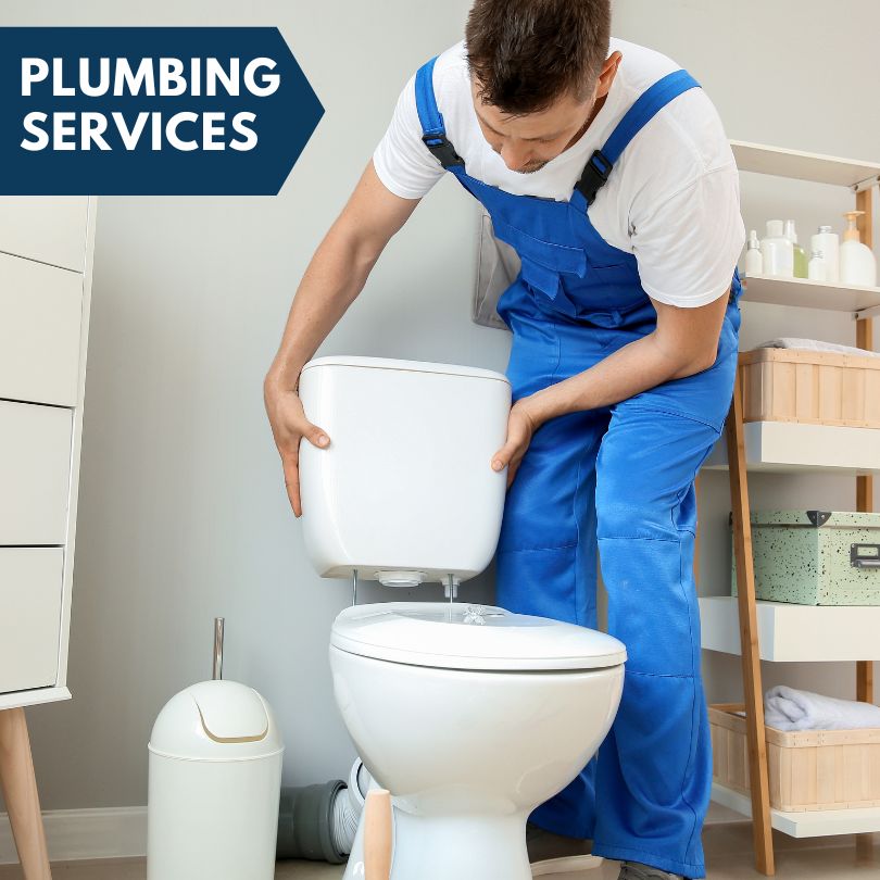 Plumbing Company in New Douglas, IL